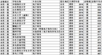 电子商务专业山东省排名