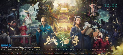 我与猫界传奇叶问的奇妙邂逅