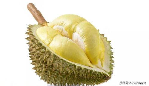 榴莲之禁与四人光速炫食记