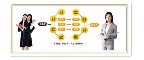 电子商务专业技能的描述
