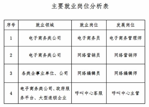 电子商务专业职务说明书