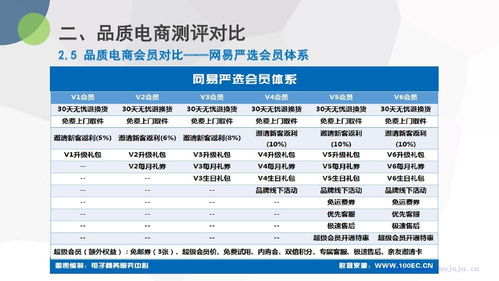 杨浦区专业电子商务市价