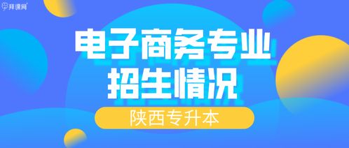 电子商务升本科专业前景