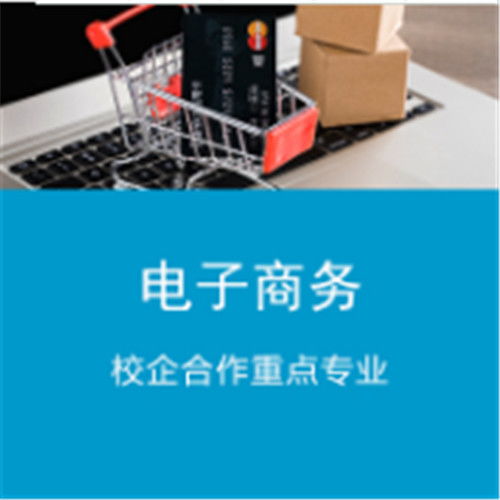 电子商务专业有缺点么