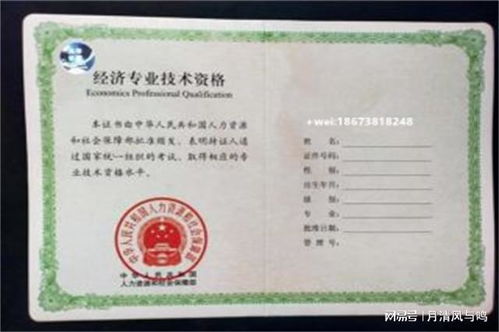 谁能考电子商务专业证呢