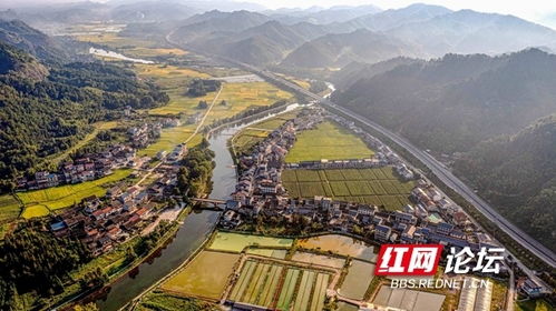 多地一片好“丰”景