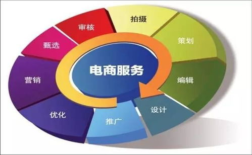 电子商务需要的专业技能