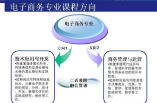 电子商务专业可以考编嘛