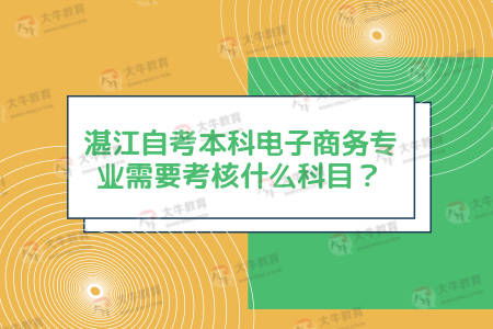 电子商务专业专硕考什么