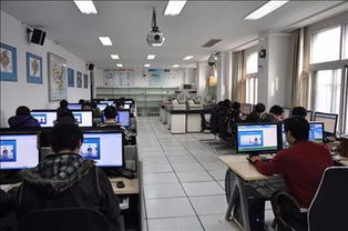 电子商务专业毕业干什么