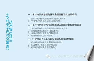 河北电子商务接本专业书